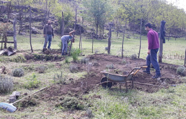Trabajos comunitarios