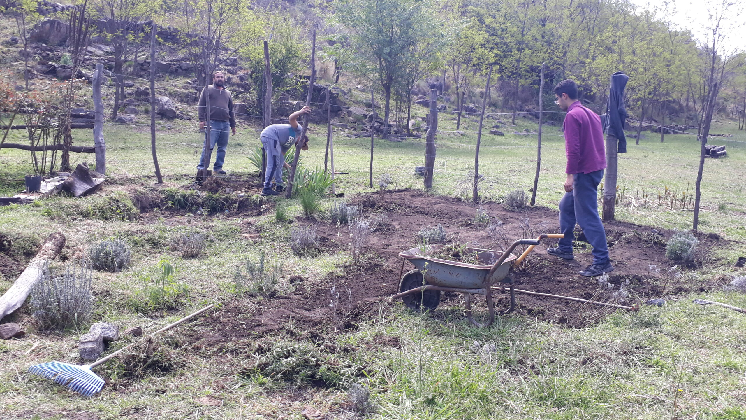 Trabajos comunitarios